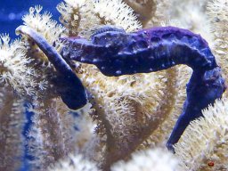 Tiergarten Schönbrunn am 23.03.2023